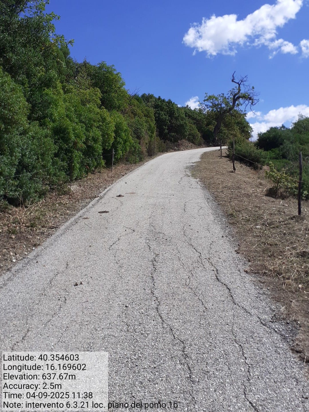 Galleria Fotografica Immagine