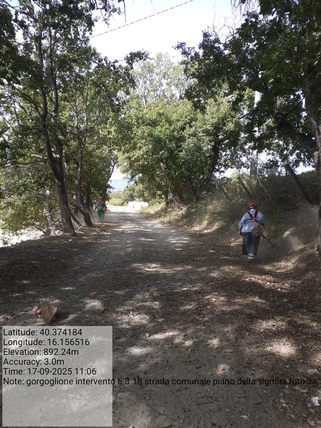 Galleria Fotografica Immagine