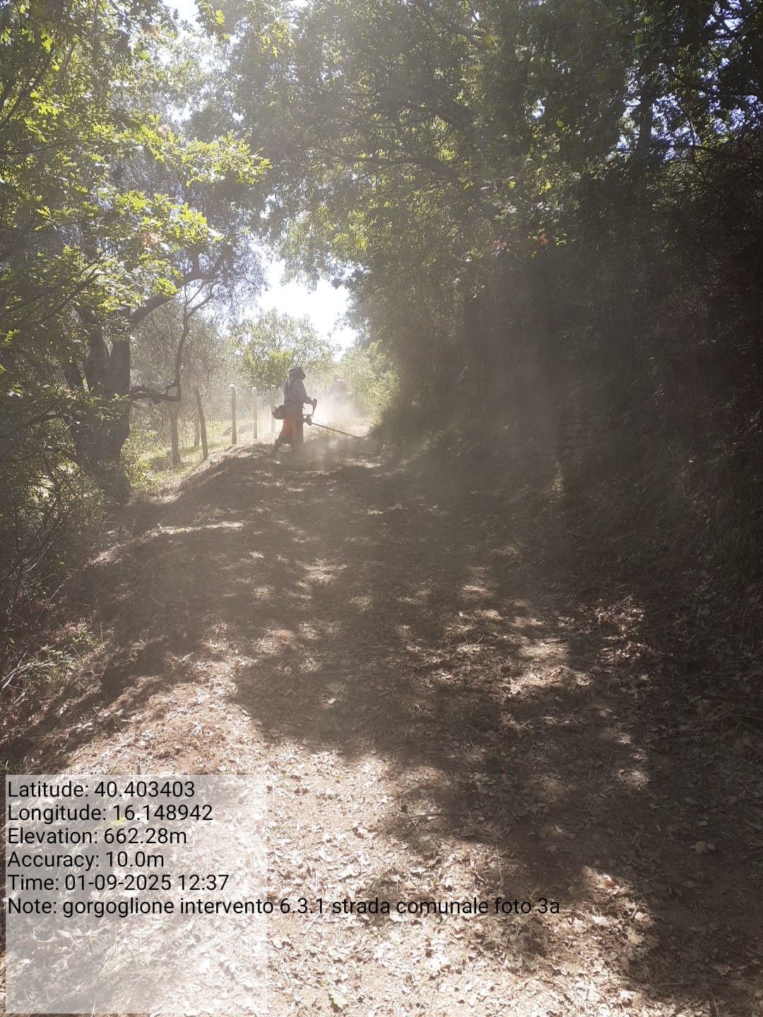 Galleria Fotografica Immagine