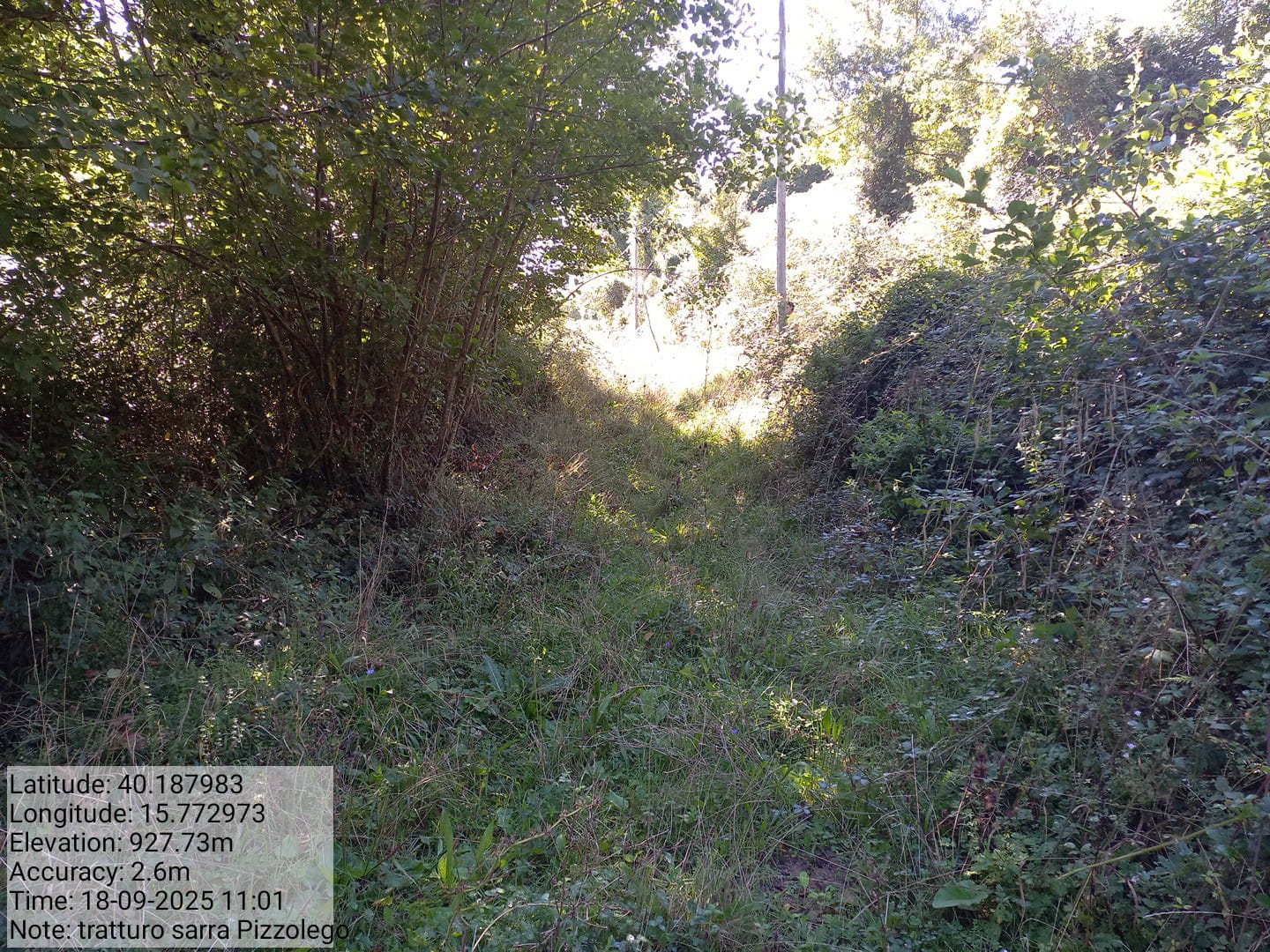 Galleria Fotografica Immagine