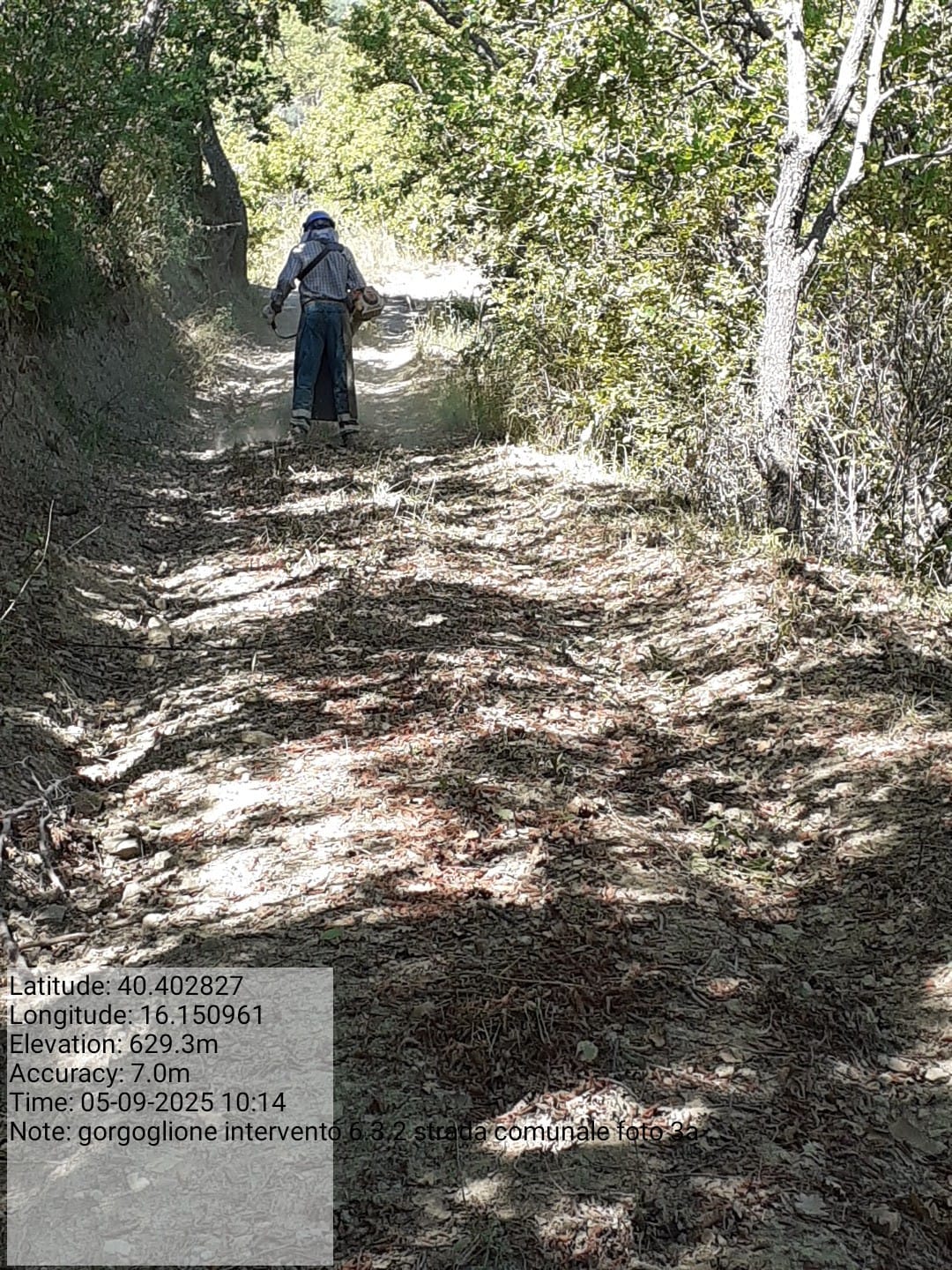 Galleria Fotografica Immagine