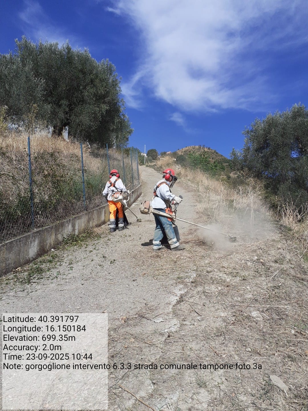 Galleria Fotografica Immagine