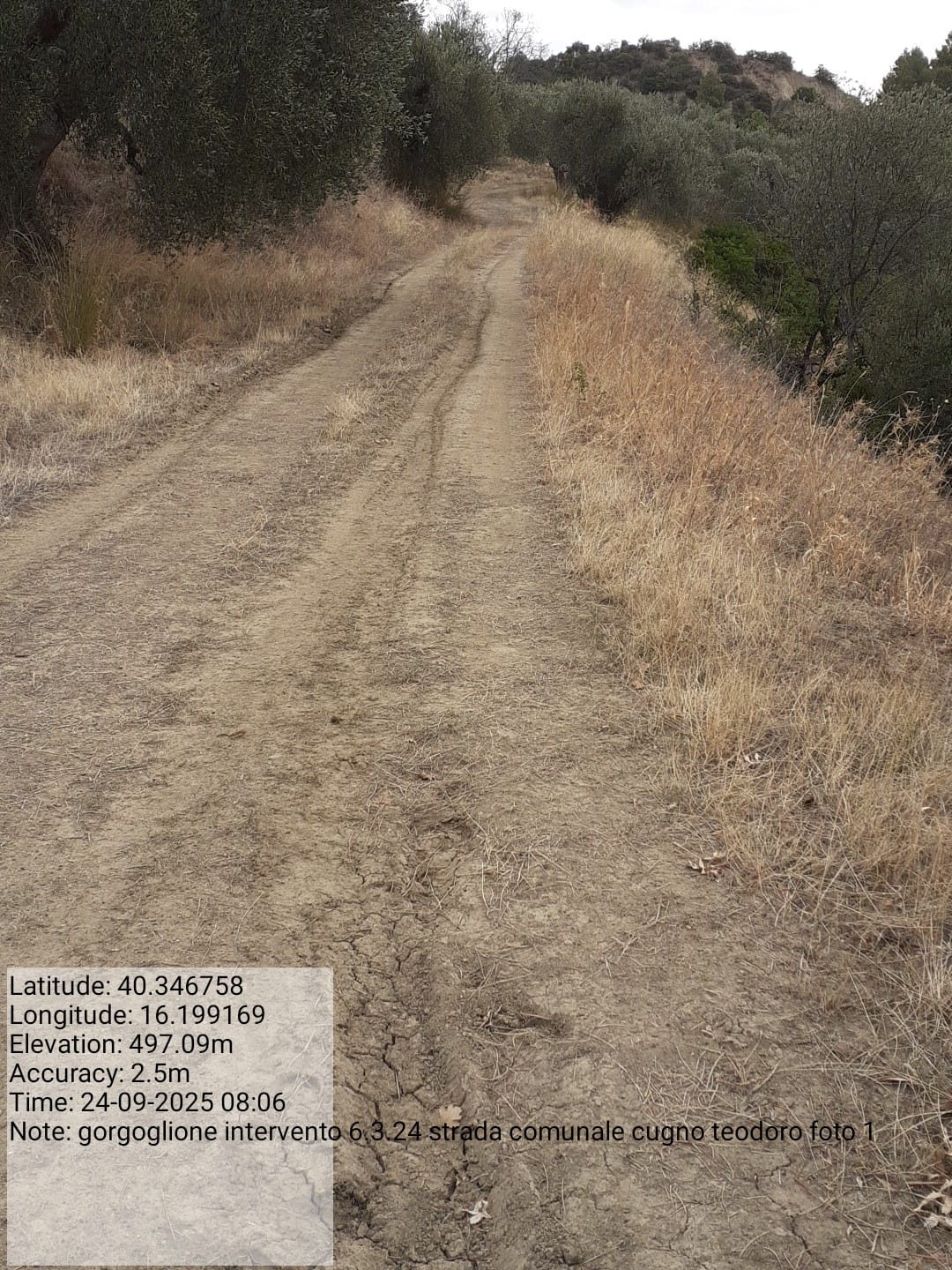 Galleria Fotografica Immagine