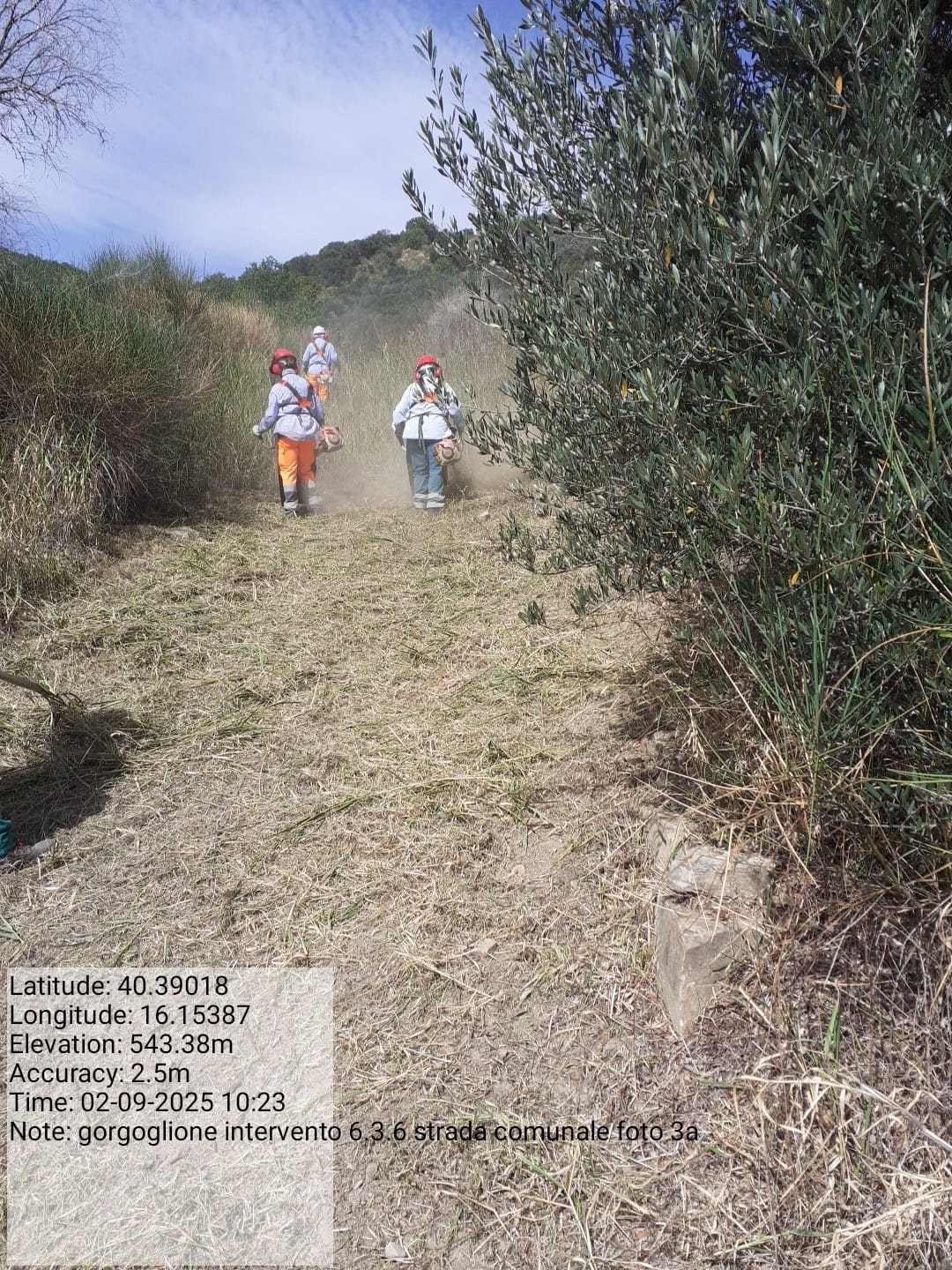 Galleria Fotografica Immagine