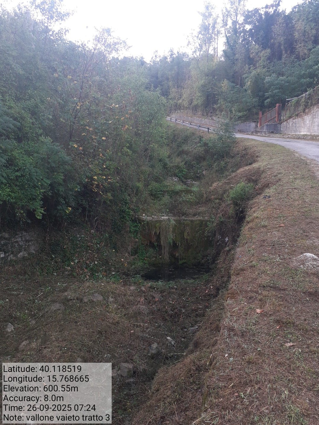 Galleria Fotografica Immagine