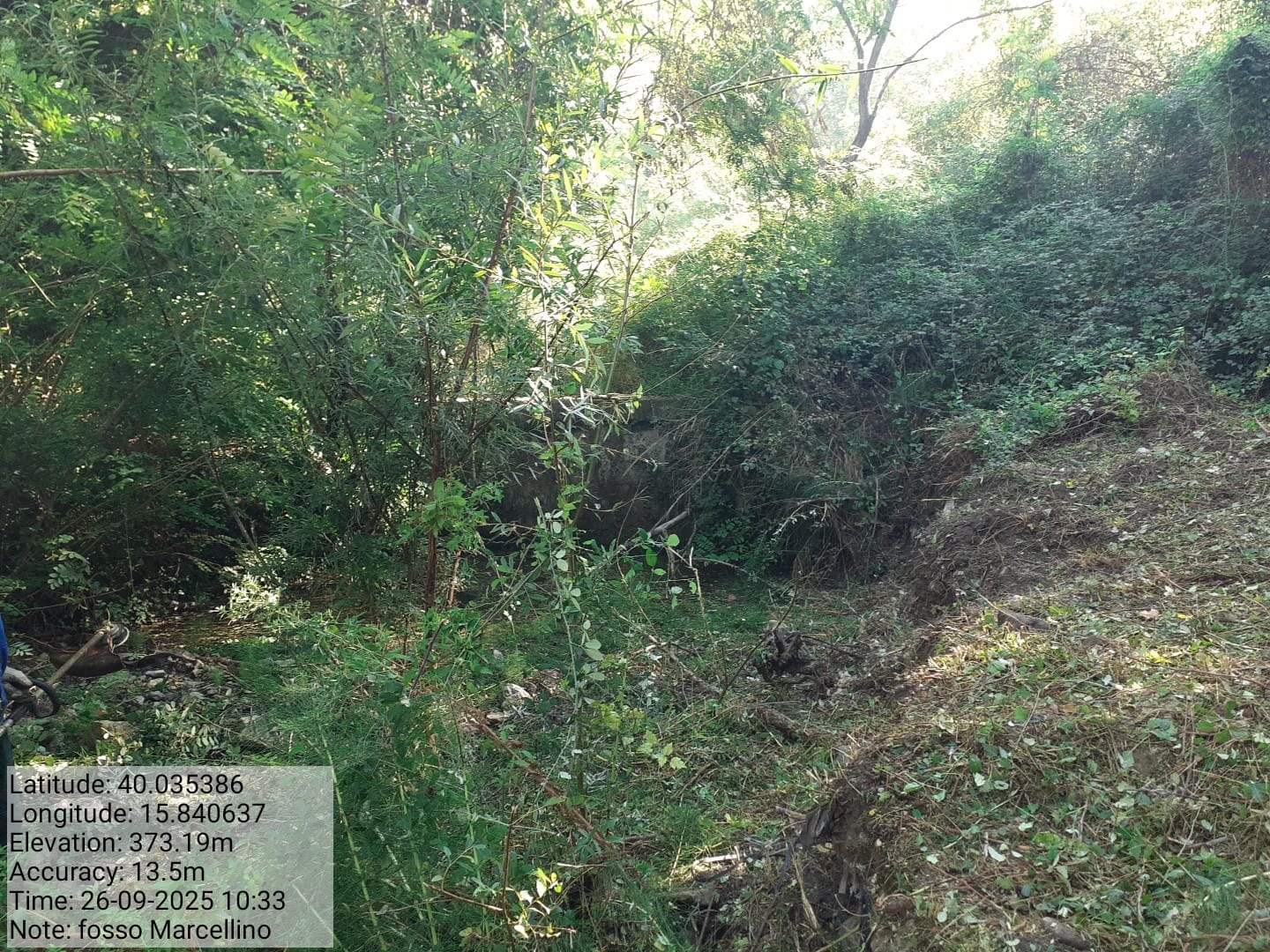 Galleria Fotografica Immagine