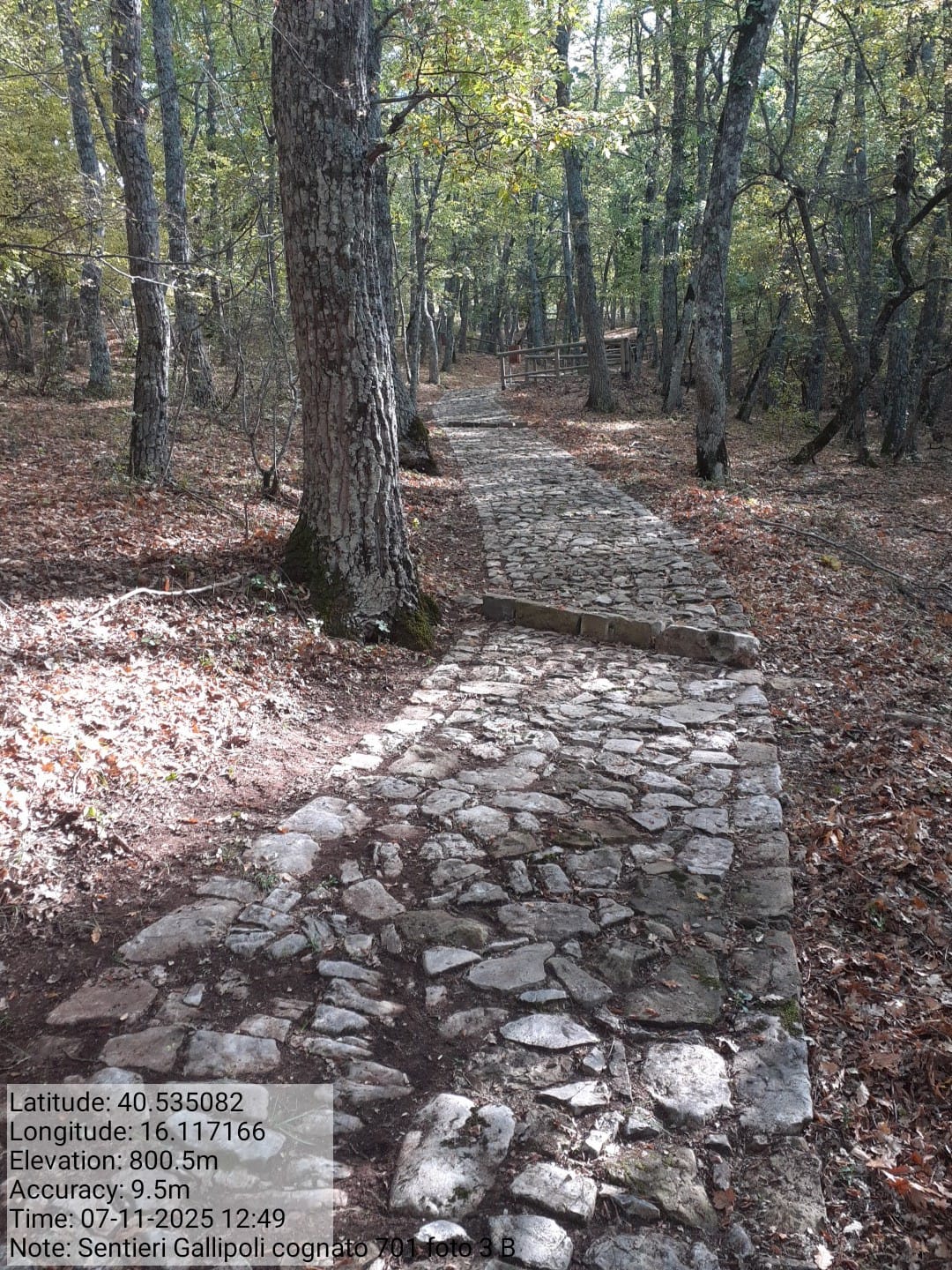 Galleria Fotografica Immagine