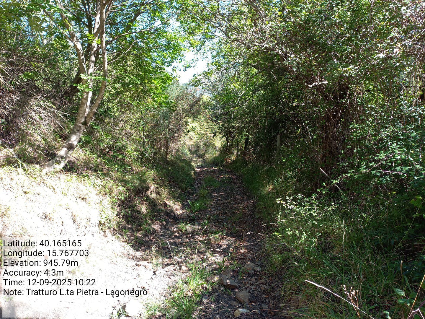 Galleria Fotografica Immagine