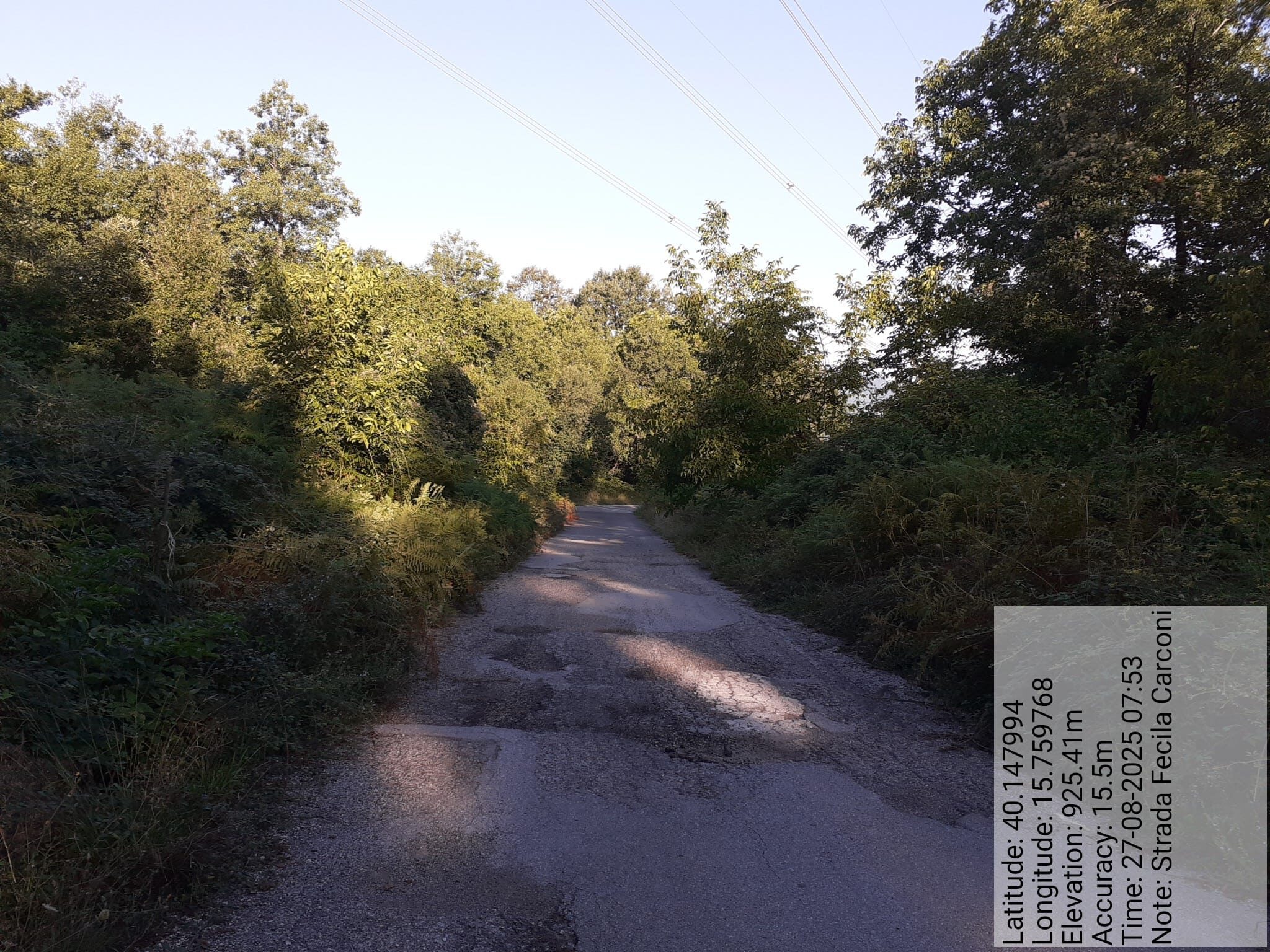 Galleria Fotografica Immagine