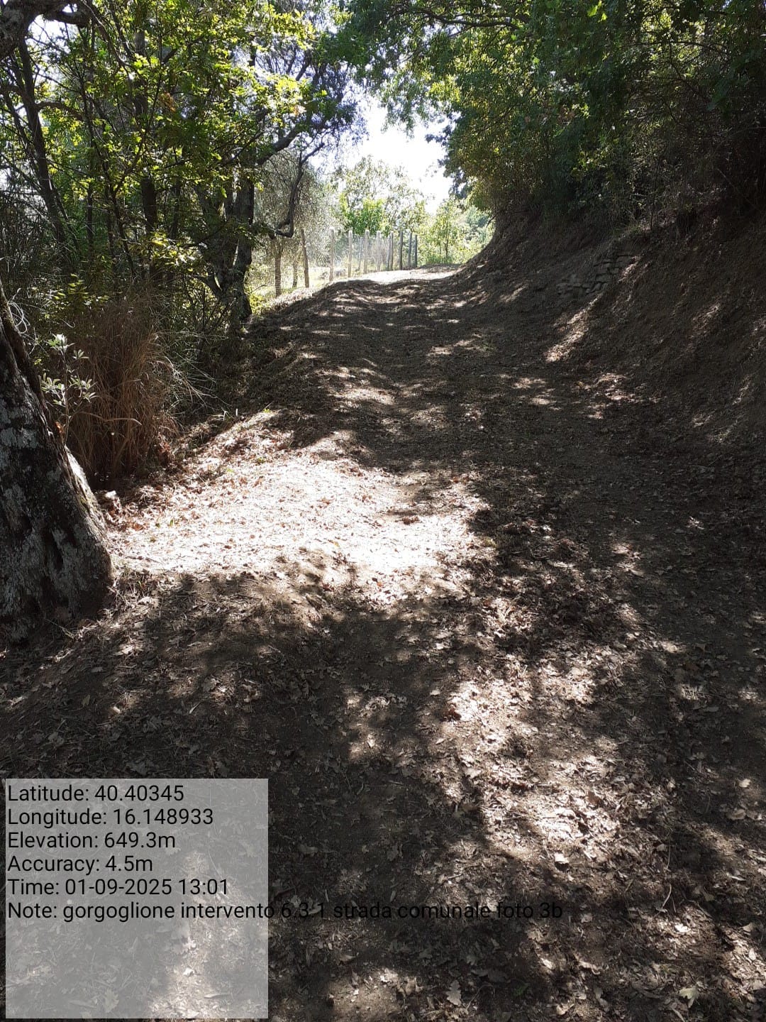 Galleria Fotografica Immagine