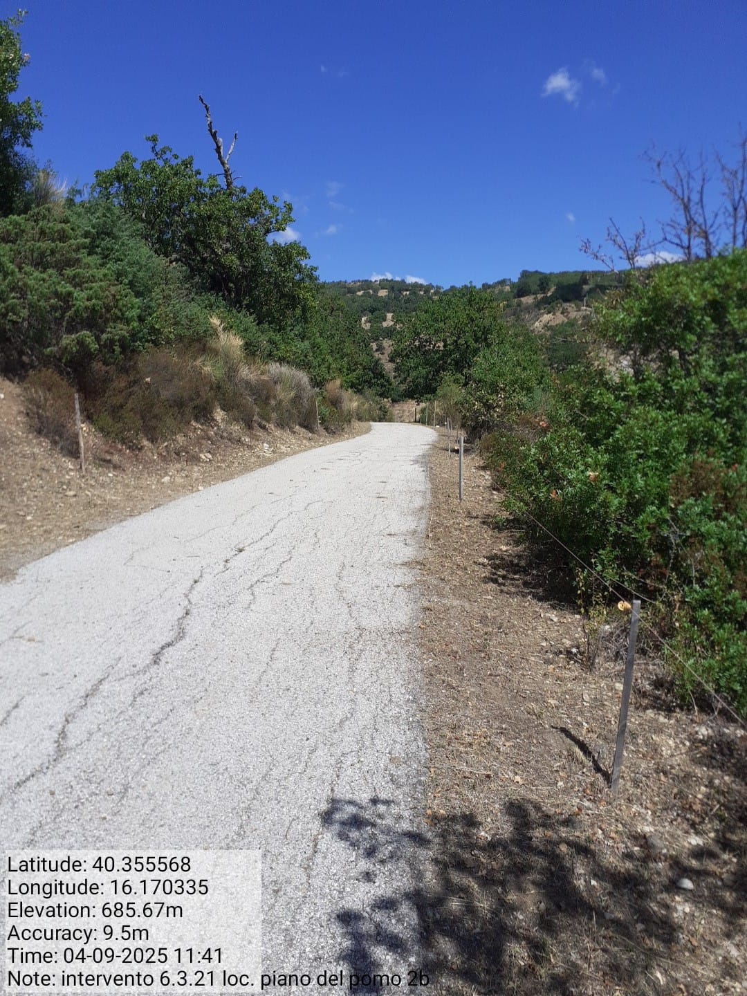 Galleria Fotografica Immagine