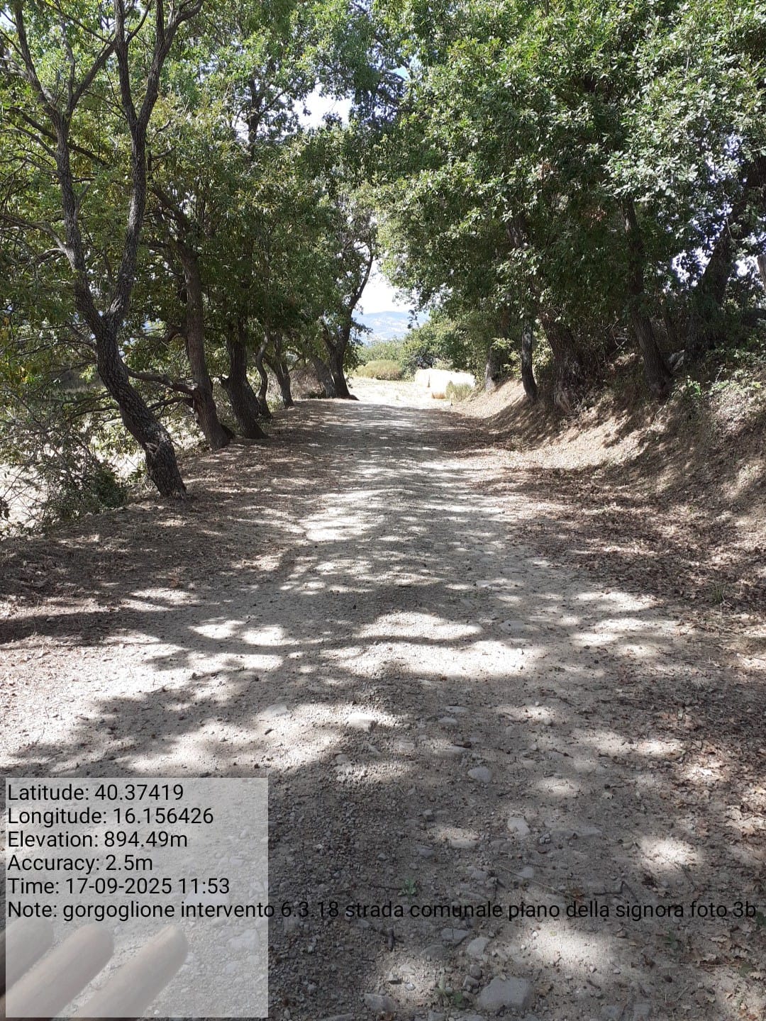 Galleria Fotografica Immagine