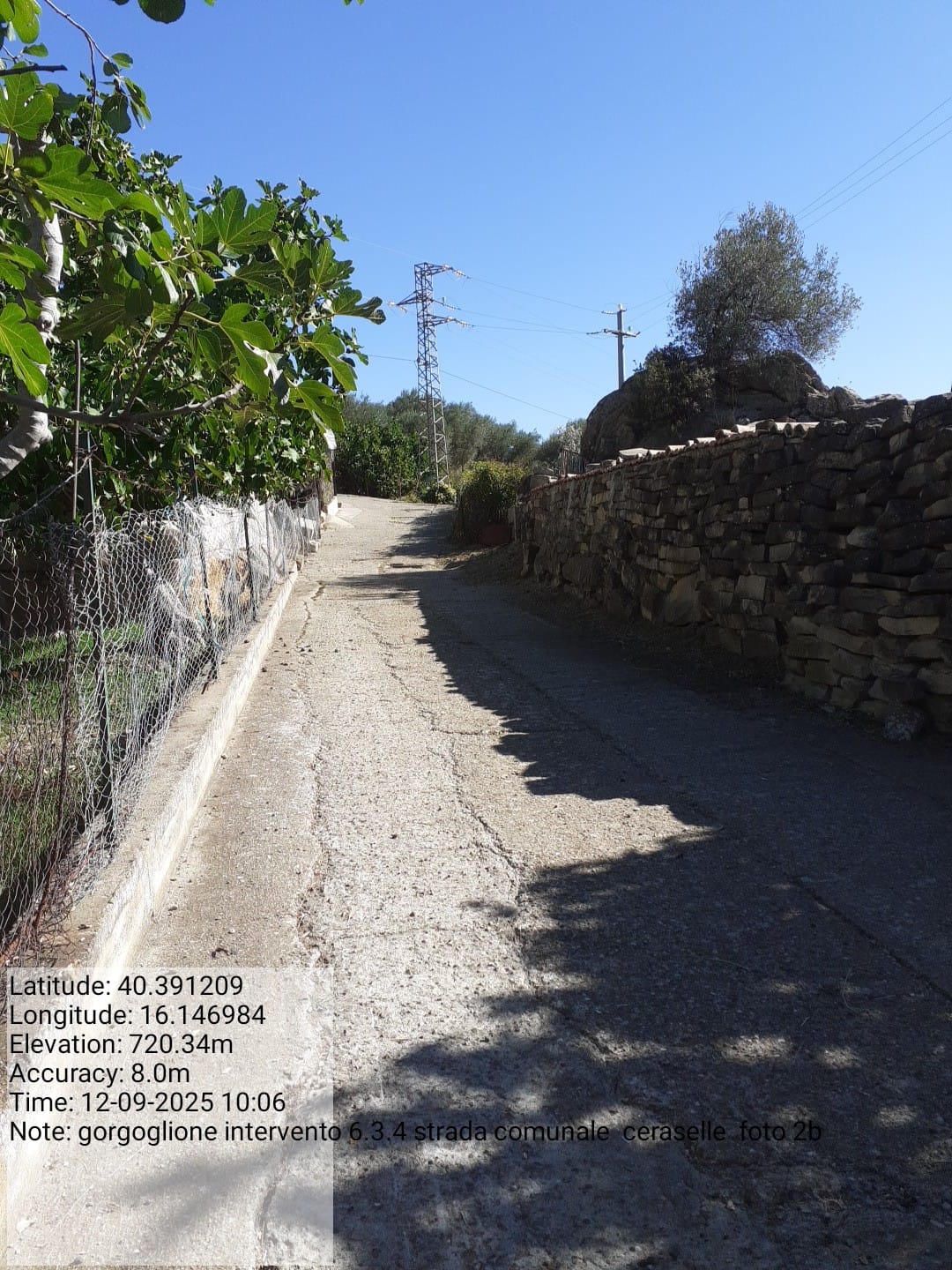 Galleria Fotografica Immagine