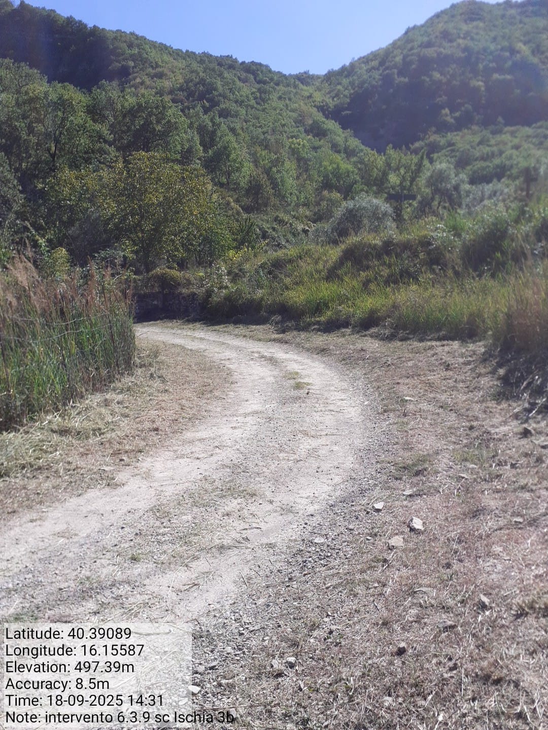 Galleria Fotografica Immagine