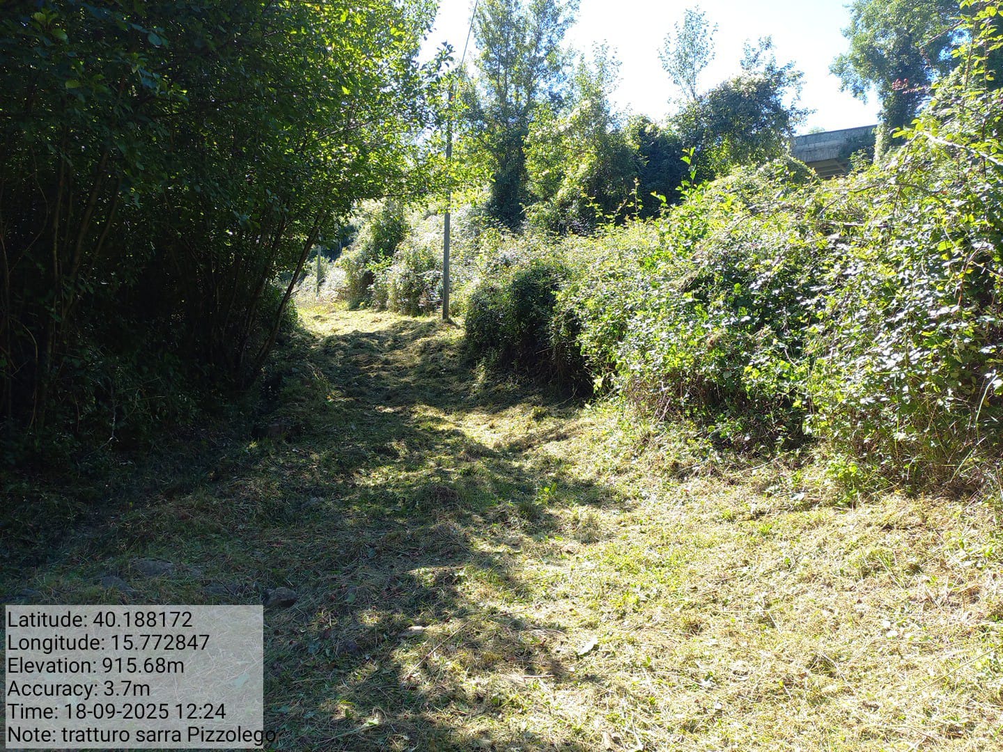 Galleria Fotografica Immagine