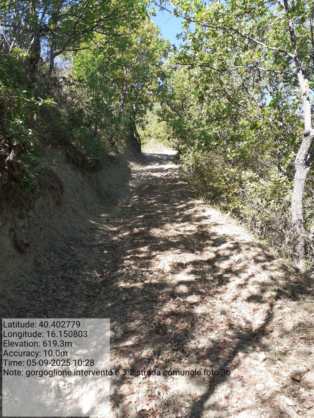 Galleria Fotografica Immagine