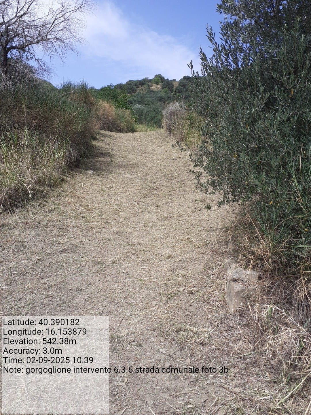 Galleria Fotografica Immagine