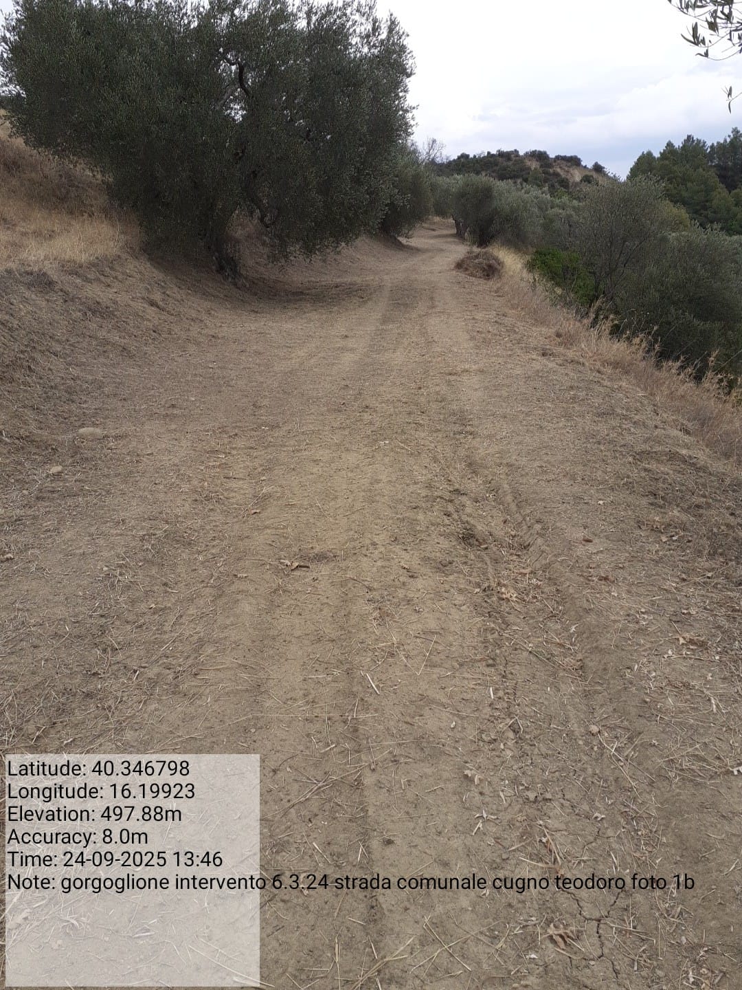 Galleria Fotografica Immagine