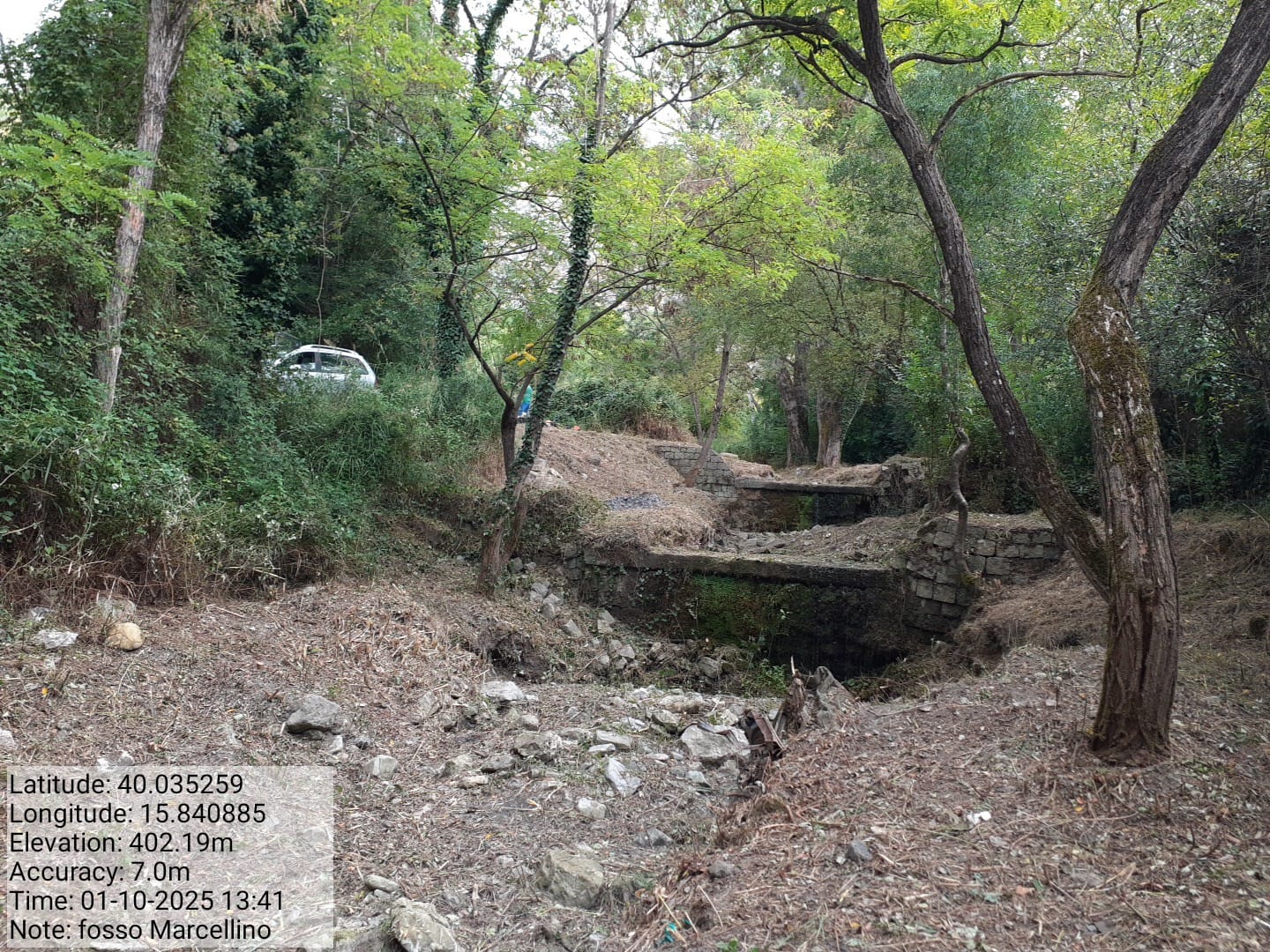 Galleria Fotografica Immagine