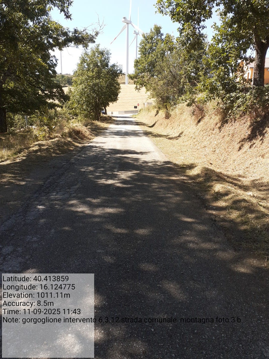 Galleria Fotografica Immagine