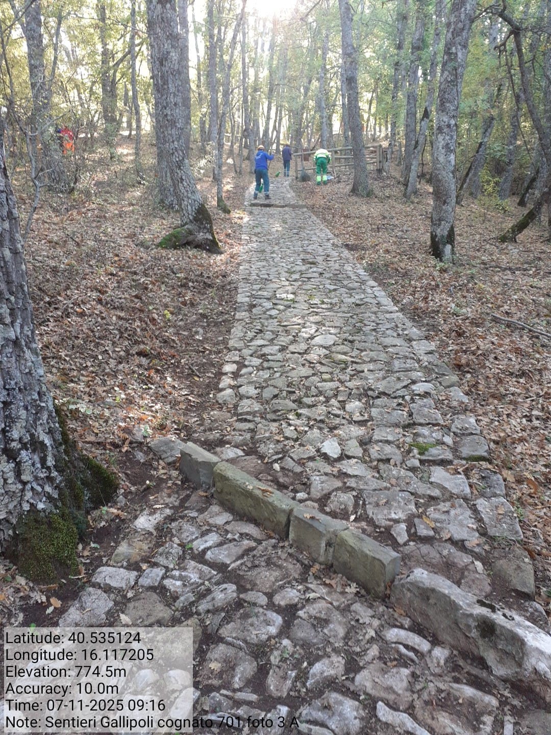 Galleria Fotografica Immagine