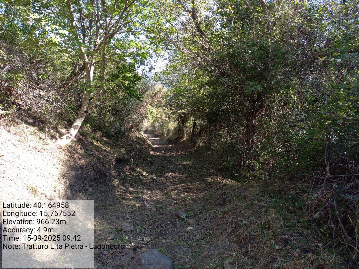 Galleria Fotografica Immagine