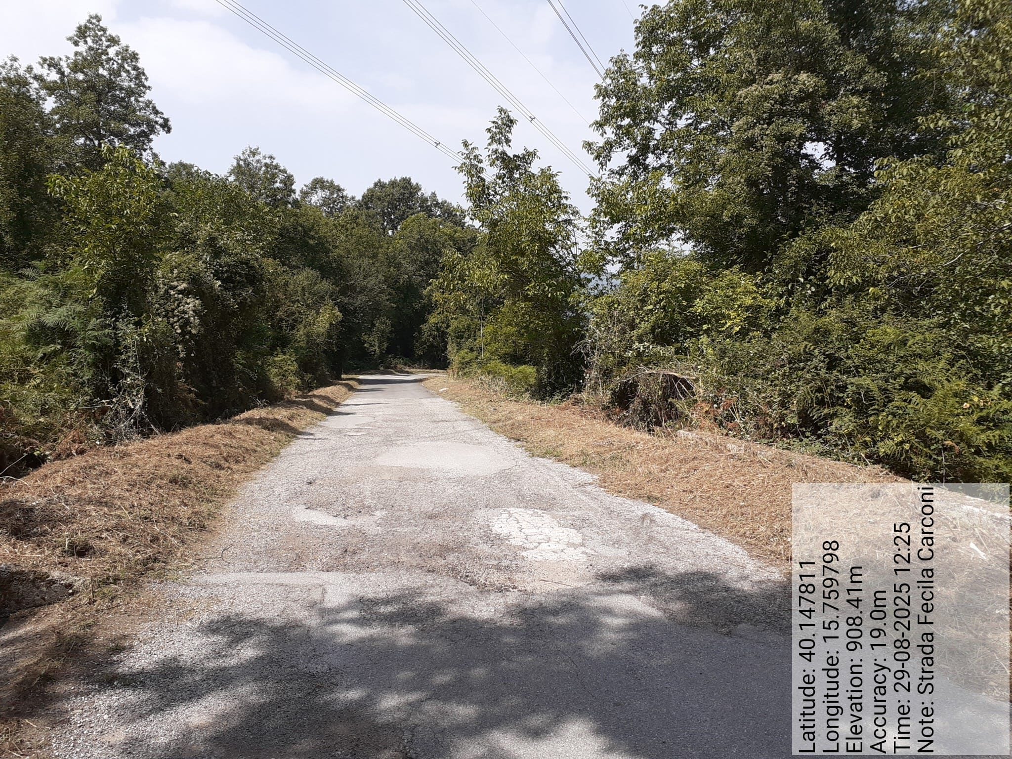 Galleria Fotografica Immagine