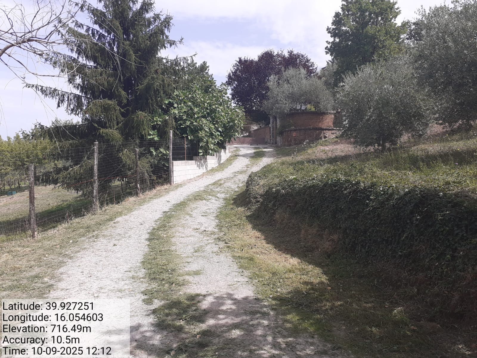 Galleria Fotografica Immagine