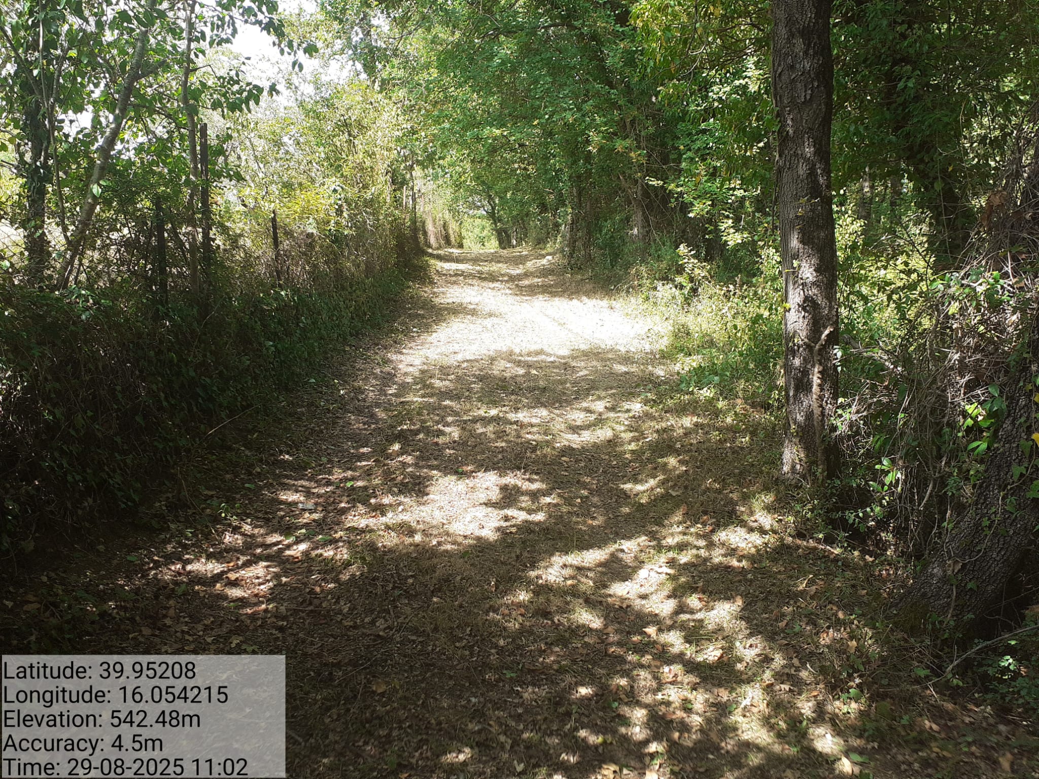 Galleria Fotografica Immagine