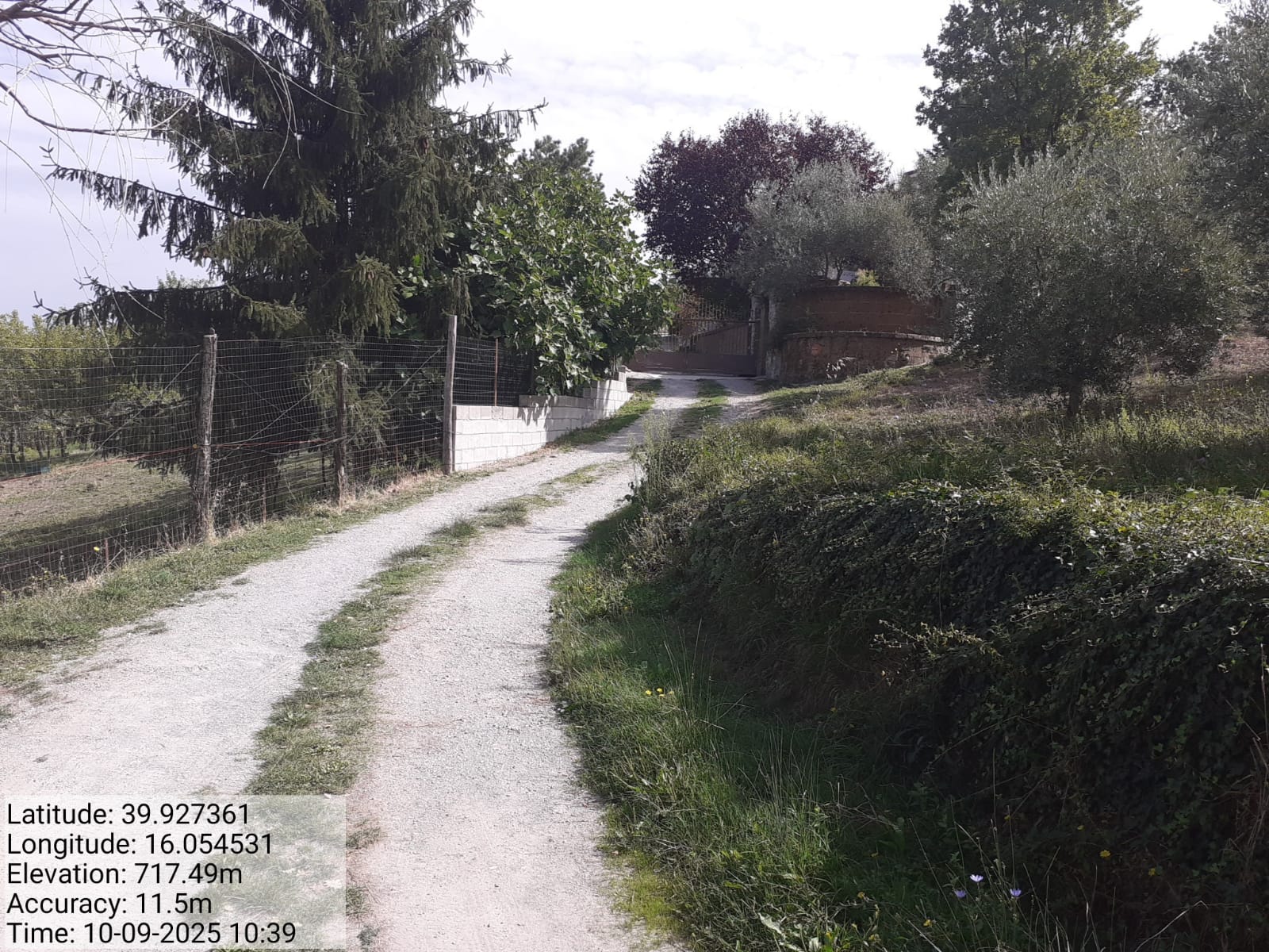 Galleria Fotografica Immagine