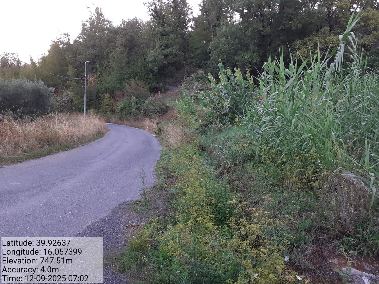 Galleria Fotografica Immagine