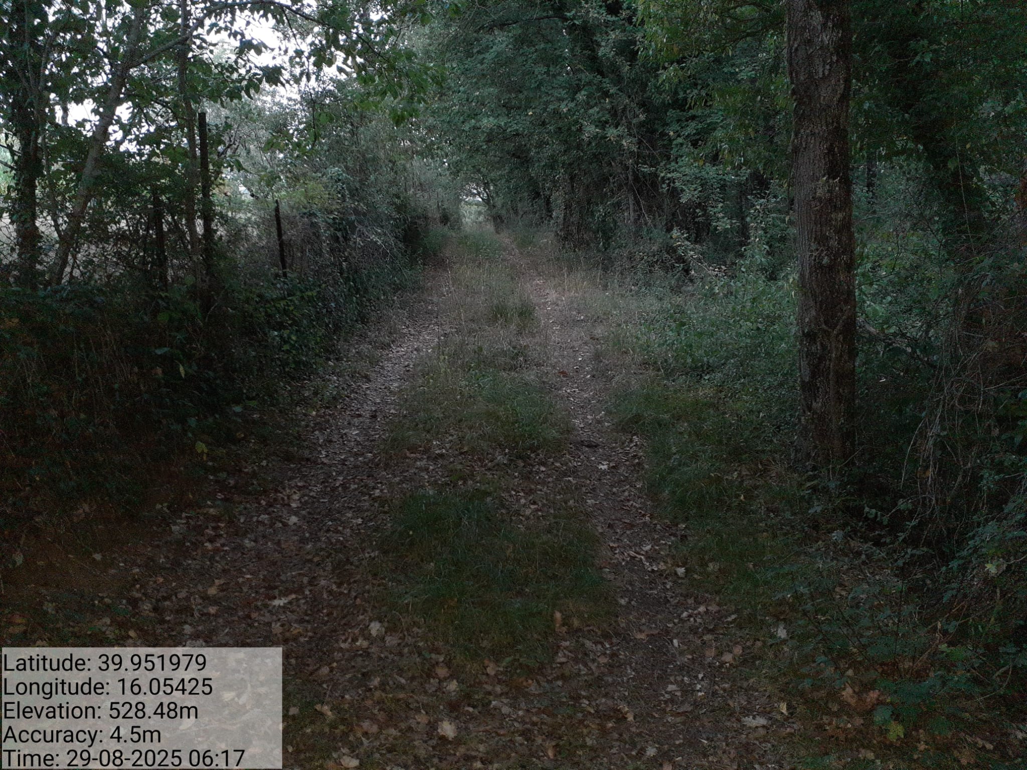 Galleria Fotografica Immagine