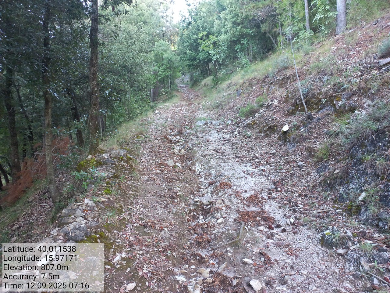 Galleria Fotografica Immagine