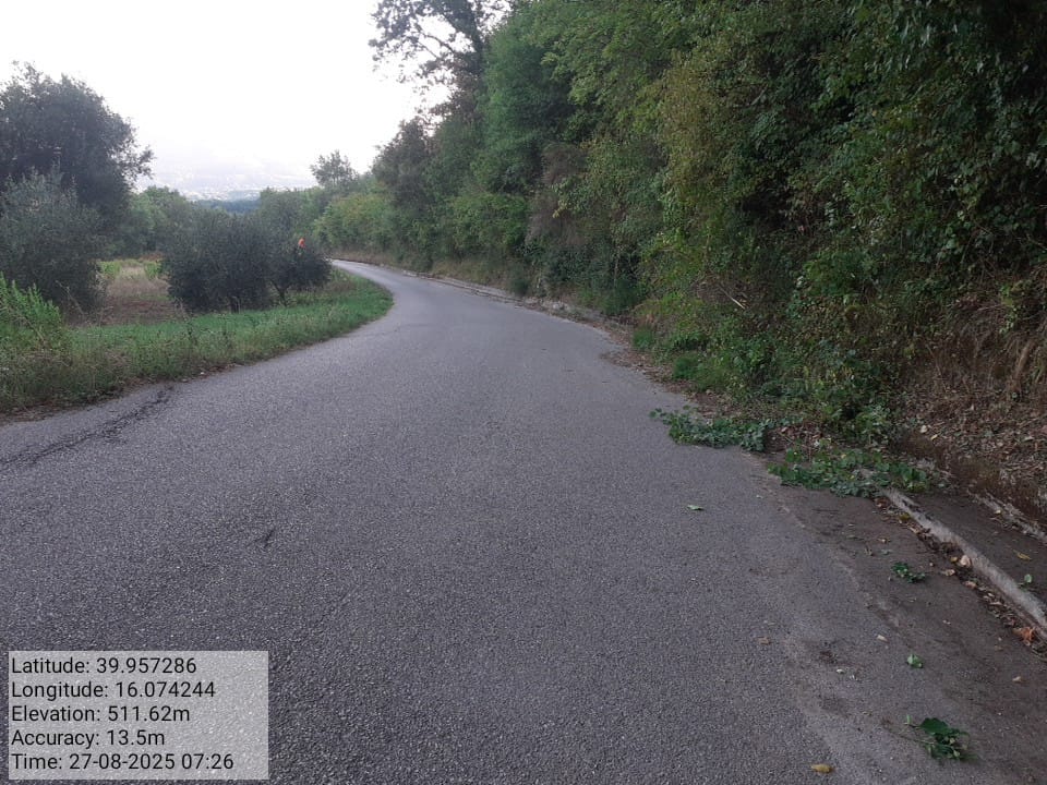 Galleria Fotografica Immagine