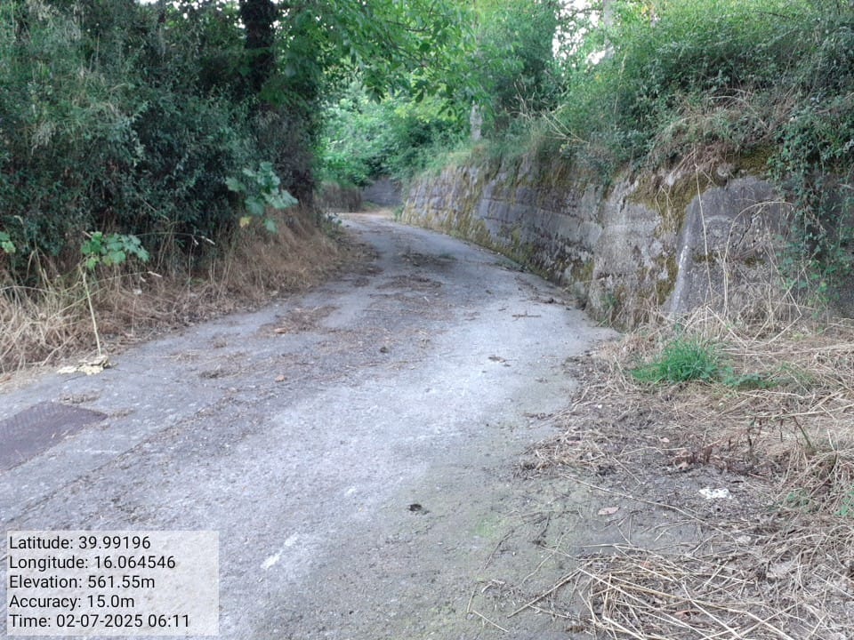 Galleria Fotografica Immagine