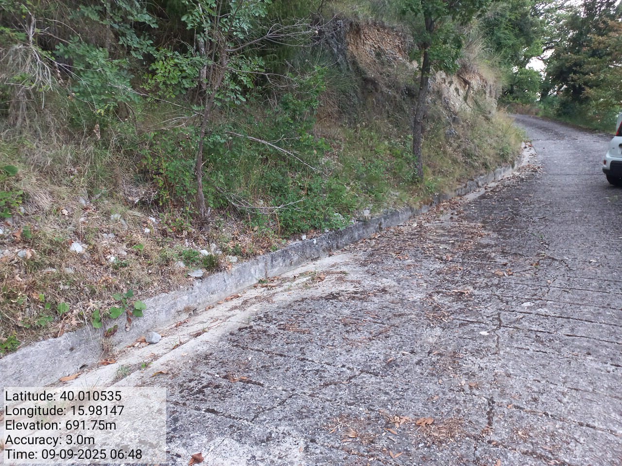 Galleria Fotografica Immagine