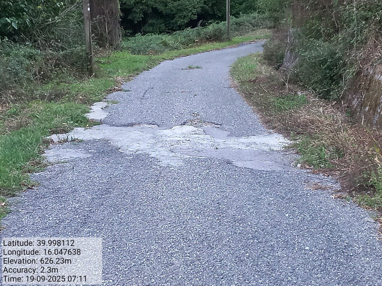 Galleria Fotografica Immagine