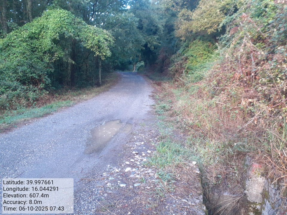 Galleria Fotografica Immagine