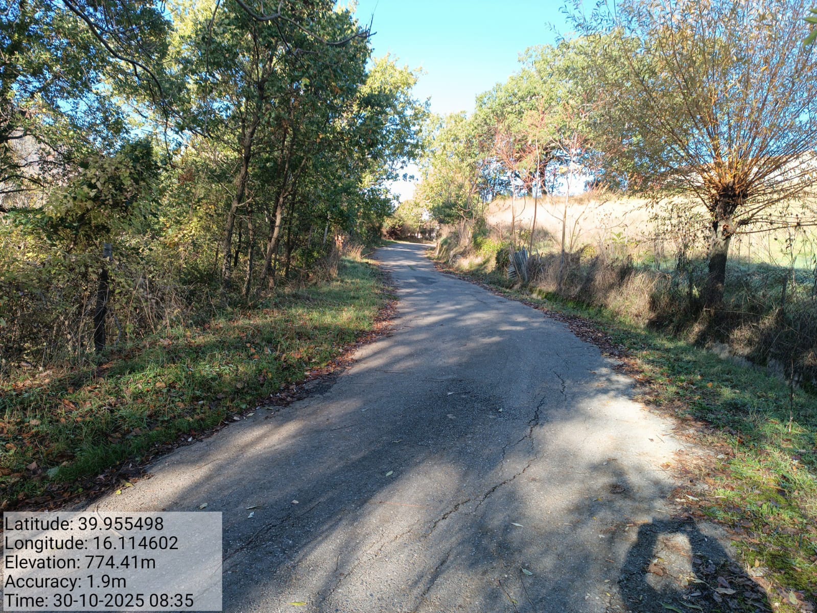 Galleria Fotografica Immagine