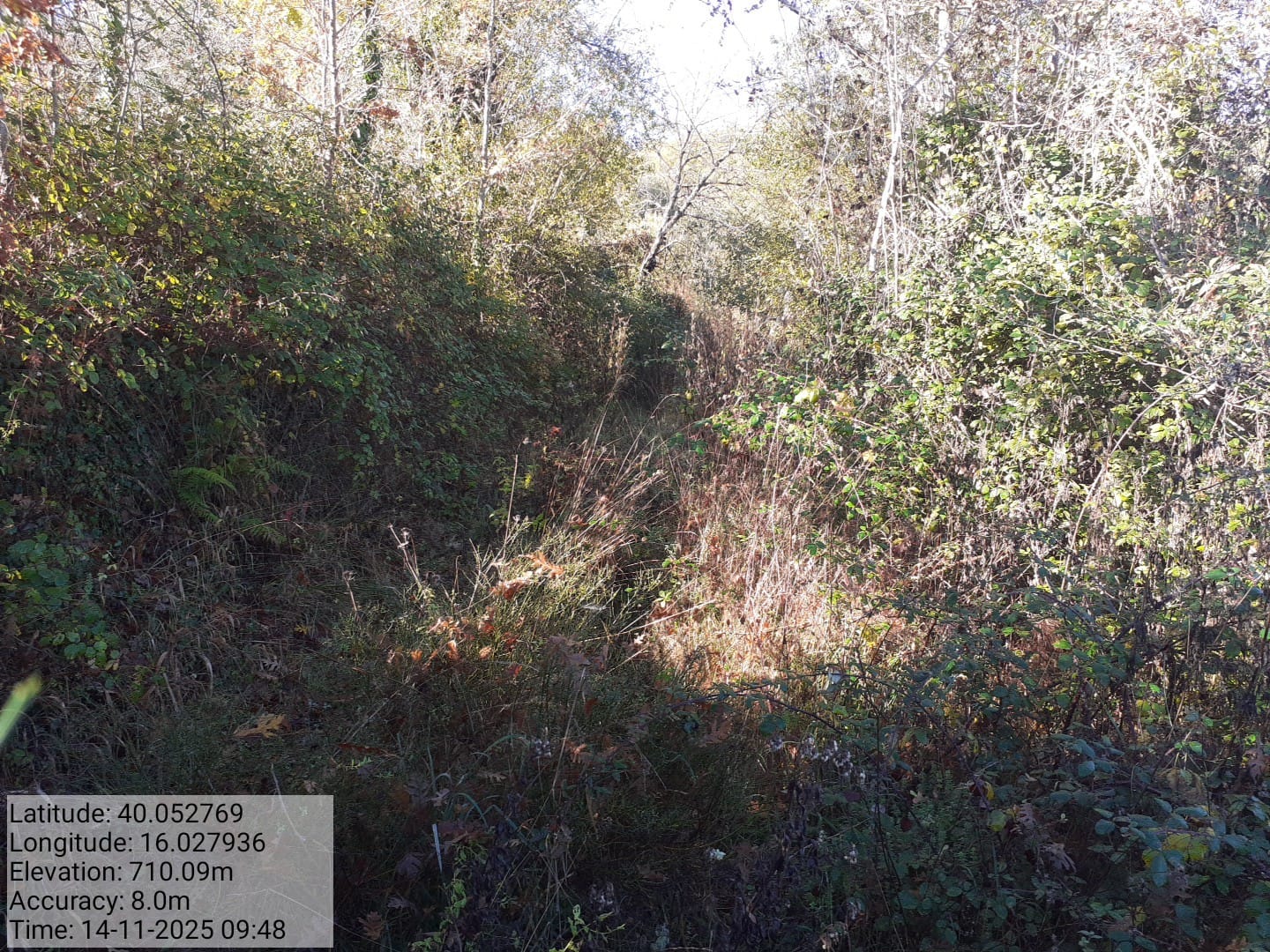 Galleria Fotografica Immagine