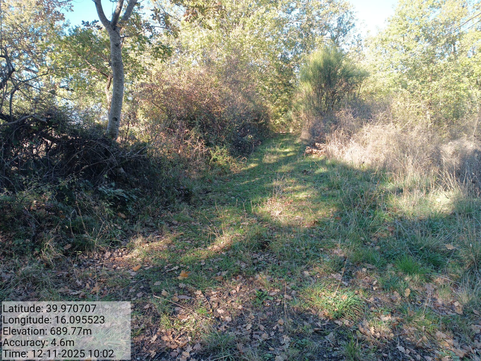 Galleria Fotografica Immagine