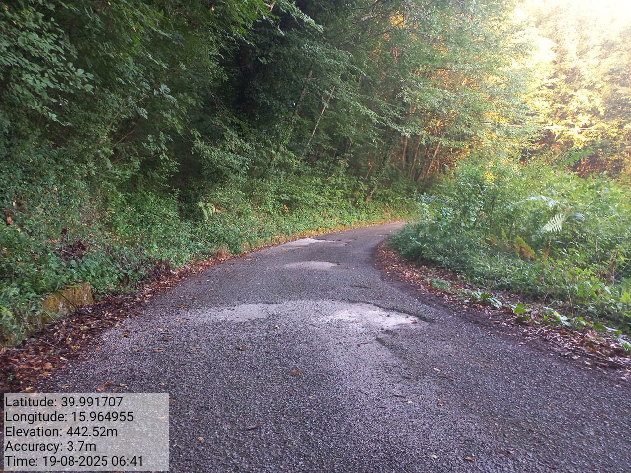 Galleria Fotografica Immagine