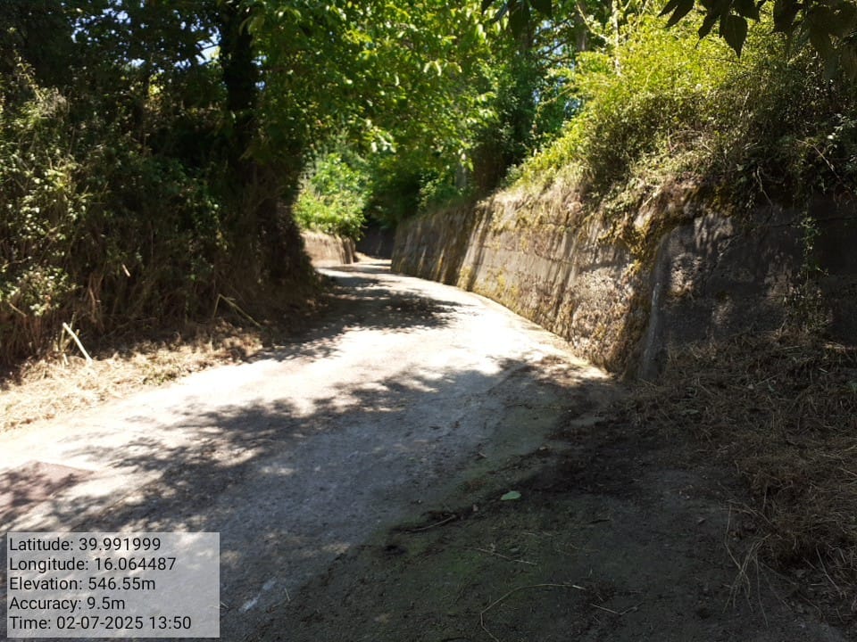 Galleria Fotografica Immagine