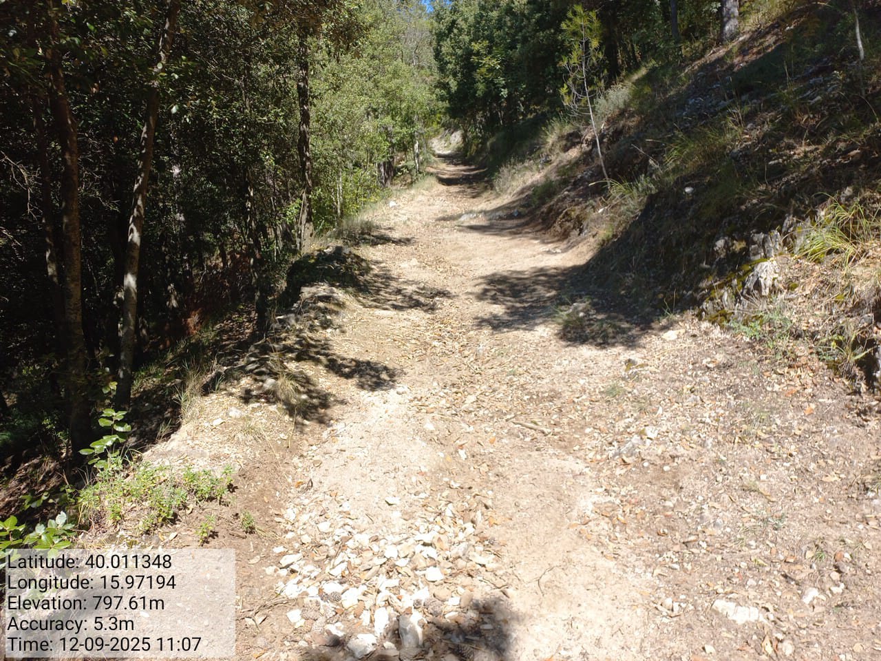 Galleria Fotografica Immagine