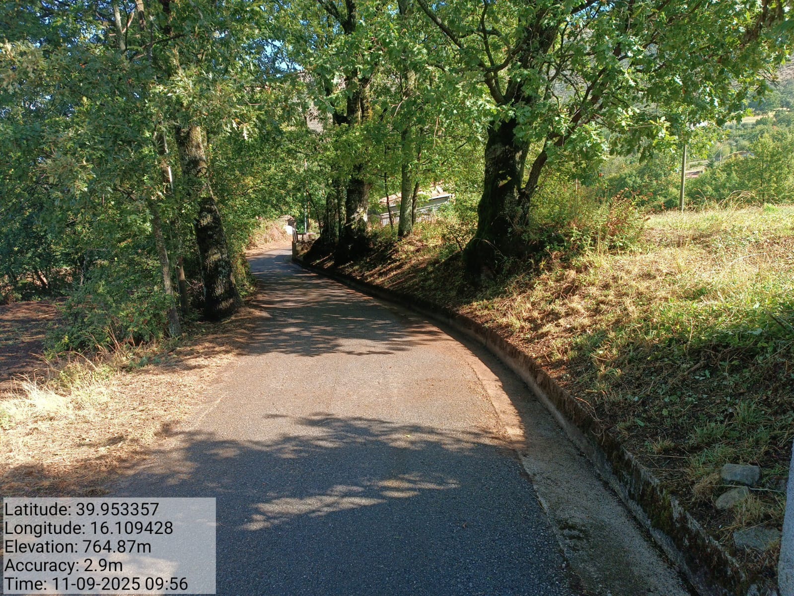 Galleria Fotografica Immagine