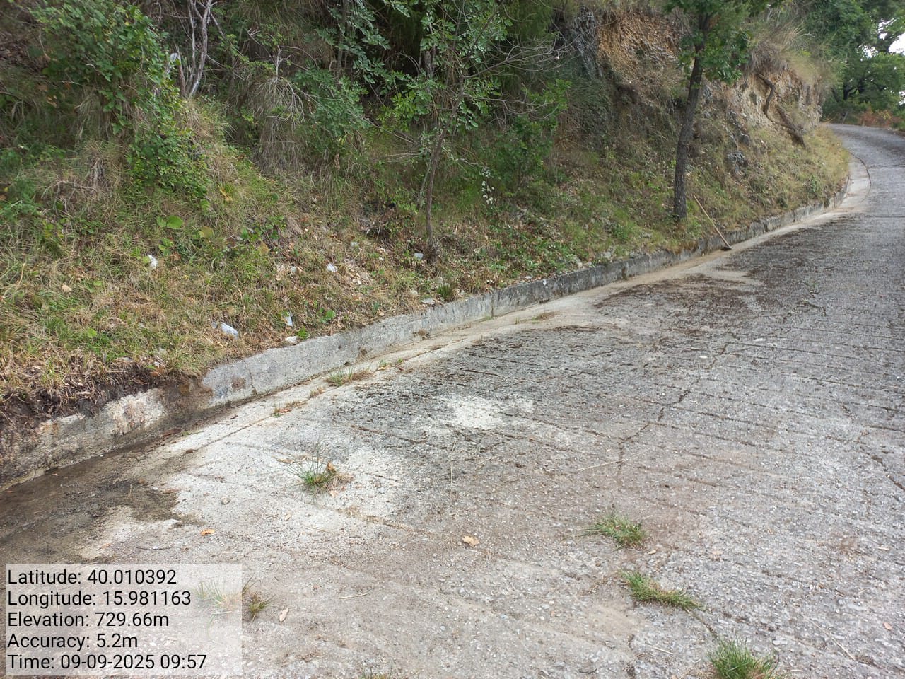 Galleria Fotografica Immagine