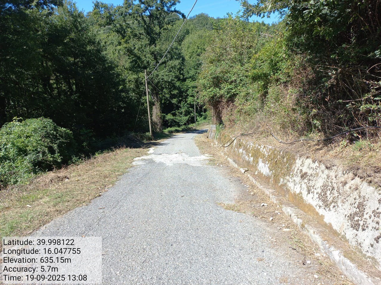 Galleria Fotografica Immagine