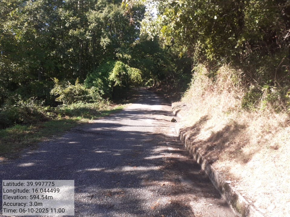 Galleria Fotografica Immagine