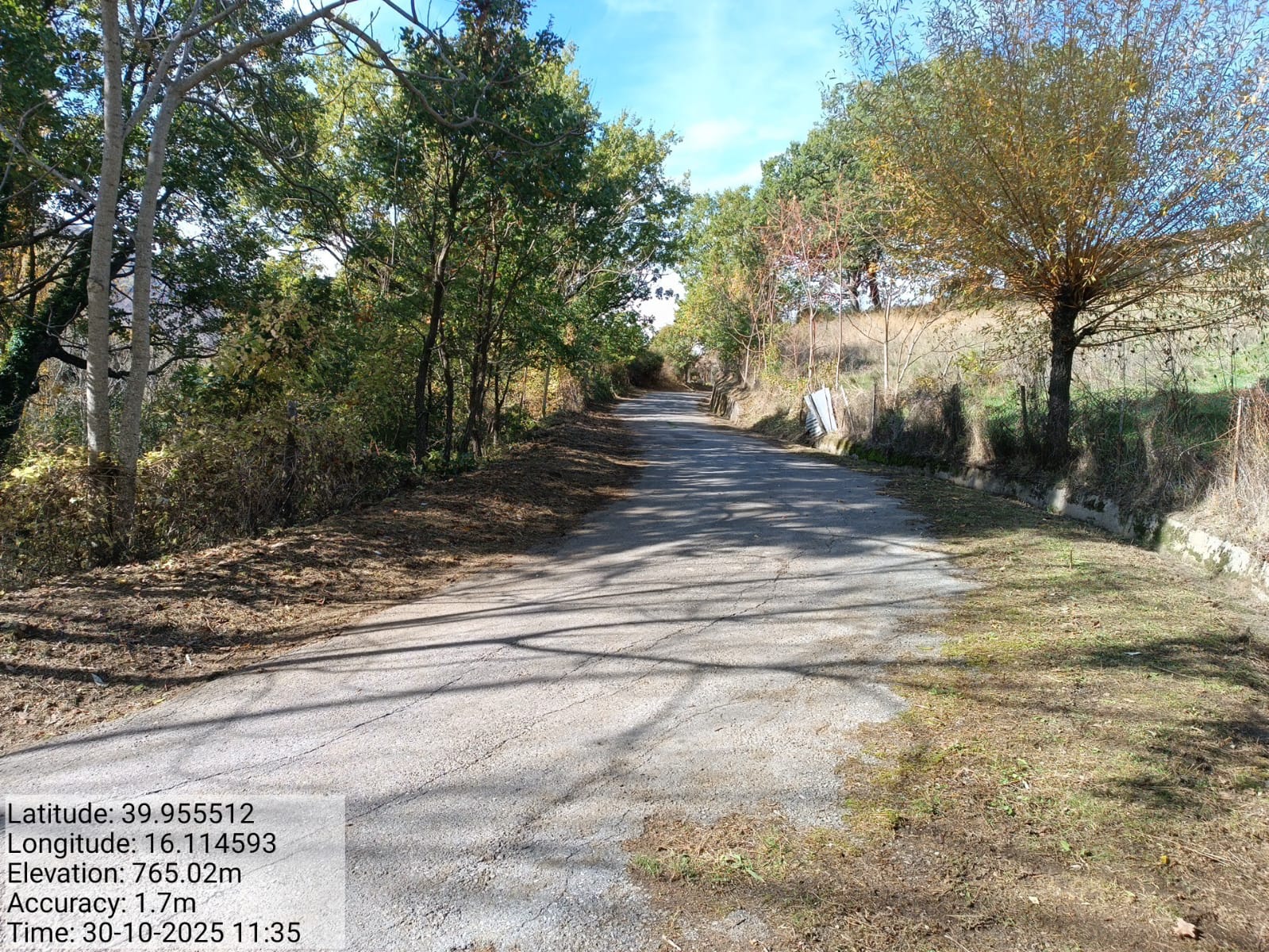 Galleria Fotografica Immagine