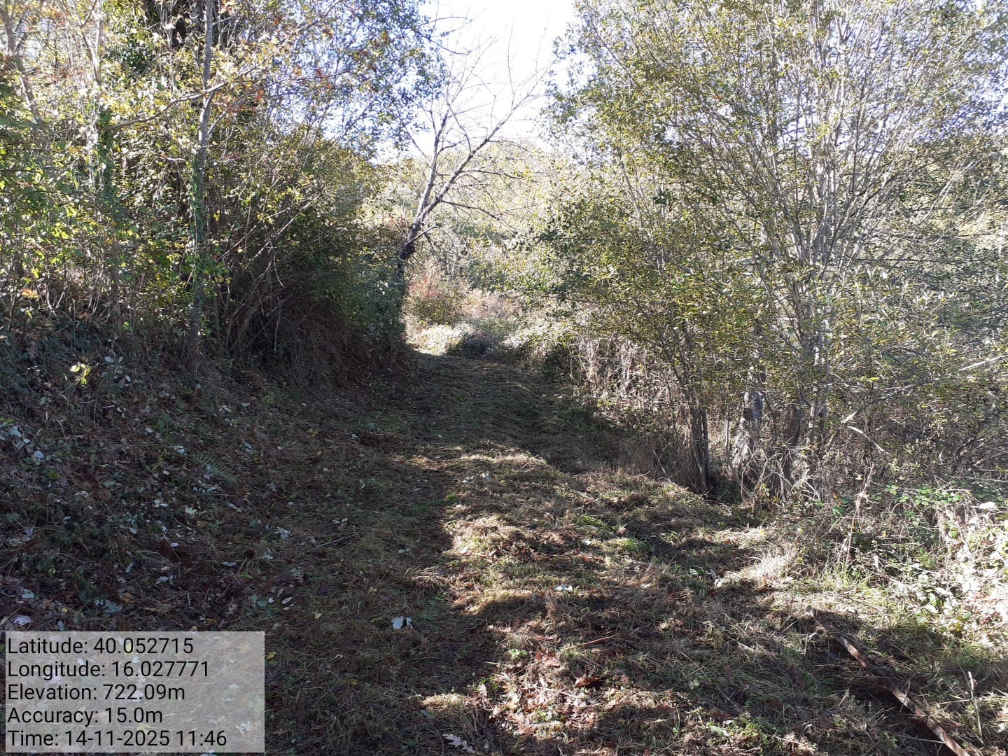 Galleria Fotografica Immagine